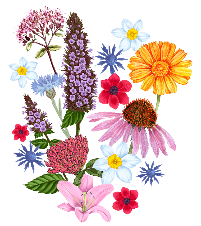 A bunch of flowers